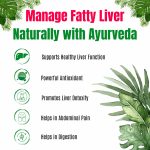 LIVER DETOX-25 CAP| PURE INDIA - Image 4