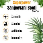 SUPERPOWER SANJEEVNI BOOTI - 300g | PURE INDIA - Image 5