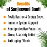 SUPERPOWER SANJEEVNI BOOTI - 300g | PURE INDIA - Image 4