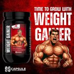 WEIGHT GAINER-90 CAPSULE  | PURE INDIA - Image 2
