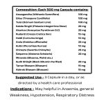 WEIGHT GAINER-90 CAPSULE  | PURE INDIA - Image 3